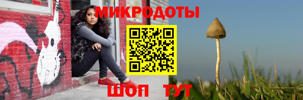 Галлюциногенные грибы Psilocybine cubensis  Вход с VPN  Луховицы 